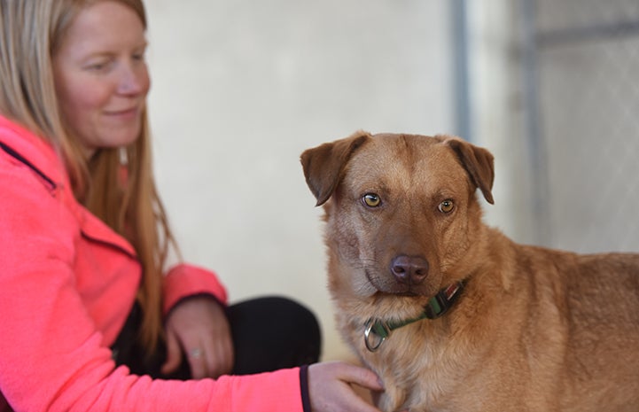 Itchy the dog’s big, watchful eyes made it clear that he was uneasy around people