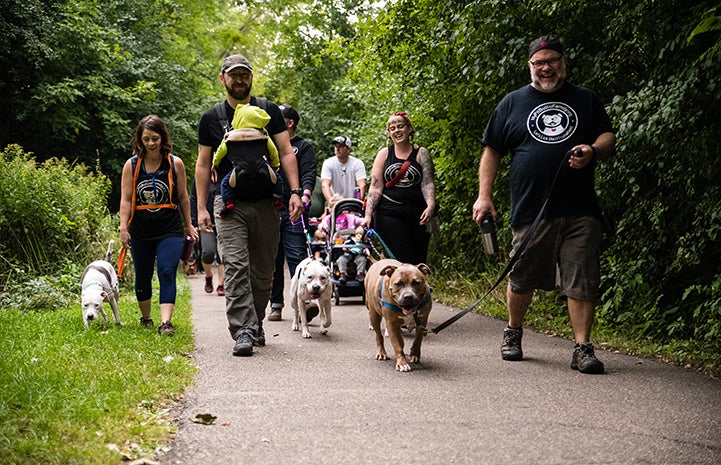 Strut Your Mutt in Minneapolis