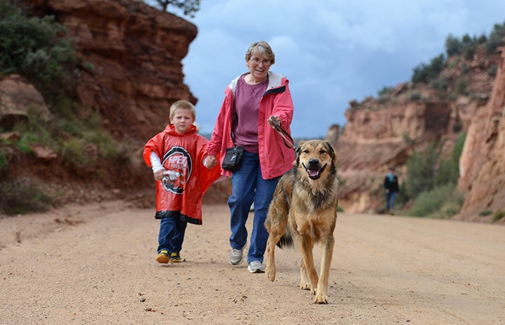 Betty Grieb and her grandson walking in Strut Your Mutt with another dog