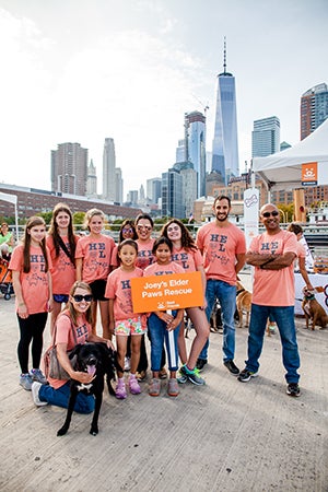 The Joey’s Elder Paws team at the 2017 New York City Strut Your Mutt event