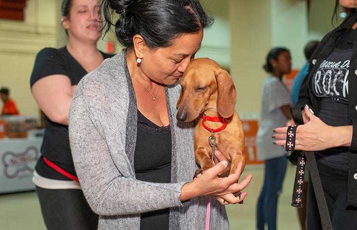 Woman holding a Dachshund with both of their heads leaned up against each other