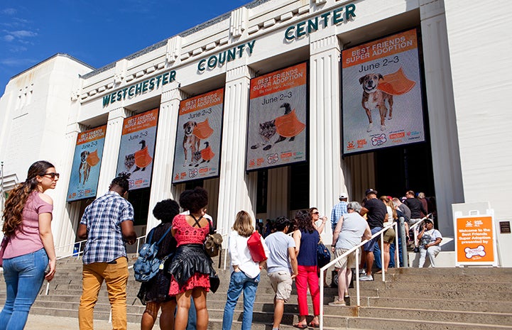 People waiting in line on some steps to enter the New York Best Friends Super Adoption at the Westchester County Center