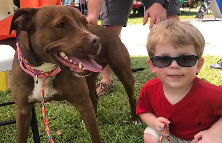 Young boy wearing sunglasses sitting next to a brown dog