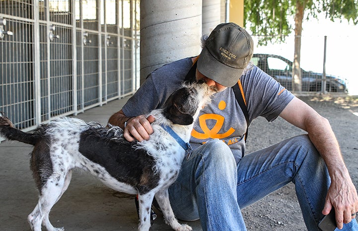 Volunteer Layne Dicker sitting down and getting a kiss from a terrier mix dog