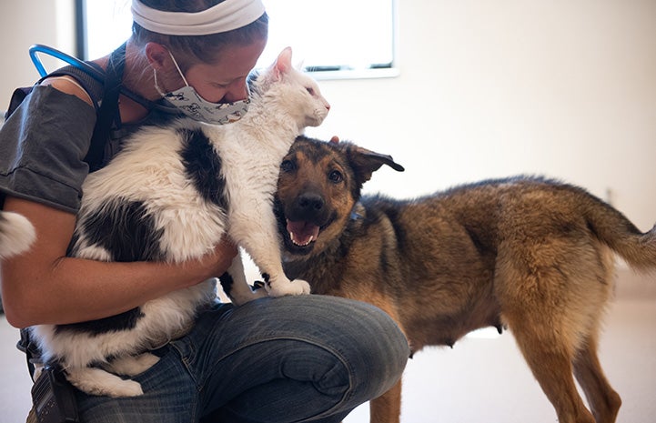 Woman wearing a mask sitting with Rango the cat on her lap with Hermosa the dog next to them