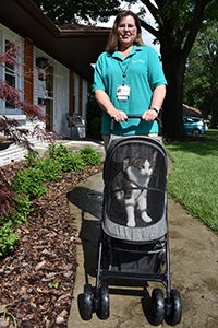 Woman pushing Hazel the cat in a stroller