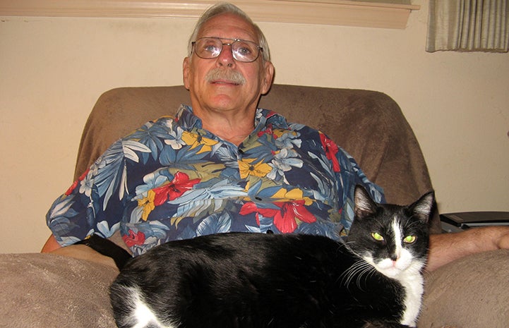 Simon the black and white cat lying on his adopter's lap