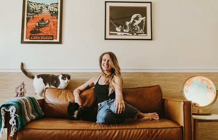 Rexie Roo and another cat on a couch with Cairistiona with some framed prints above them