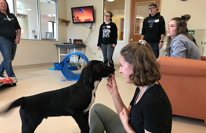 Smiling woman sitting on the ground with a black and white puppy who is wagging his tail