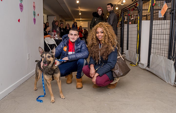 Young couple adopting a shepherd dog