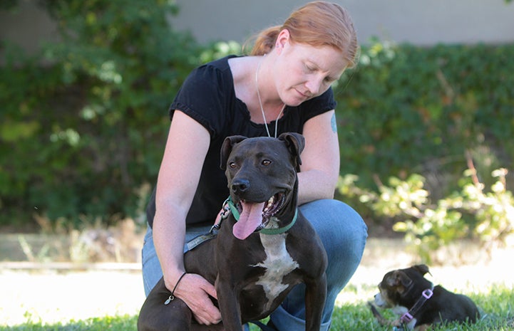 Lance the Vicktory dog needed to develop enough confidence to pass his Canine Good Citizen (CGC) test