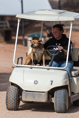 Meryl the Vicktory dog, is loved beyond measure by her friends and family at the Sanctuary