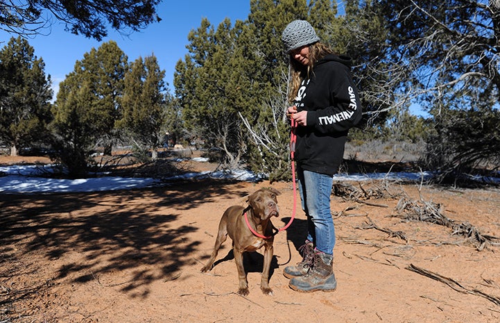 Willie Boy the Vicktory dog stayed in Carissa's care for many years