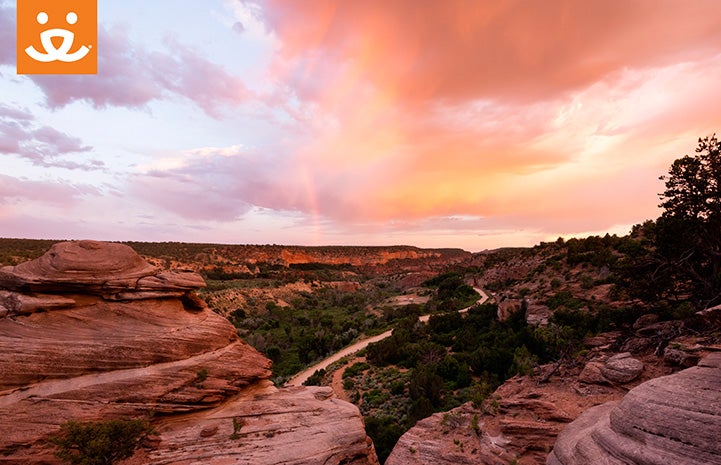 Sunset at Angel Canyon background with a Best Friends logo