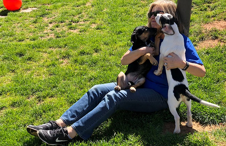 Ann McGhee sitting on the ground with two puppies jumping up on her