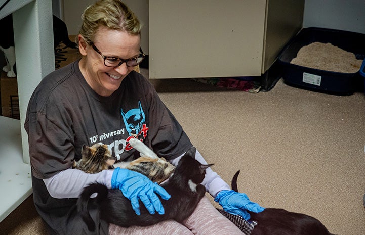 Volunteer Belle Henderson sitting on the ground with multiple cats on her lap and legs