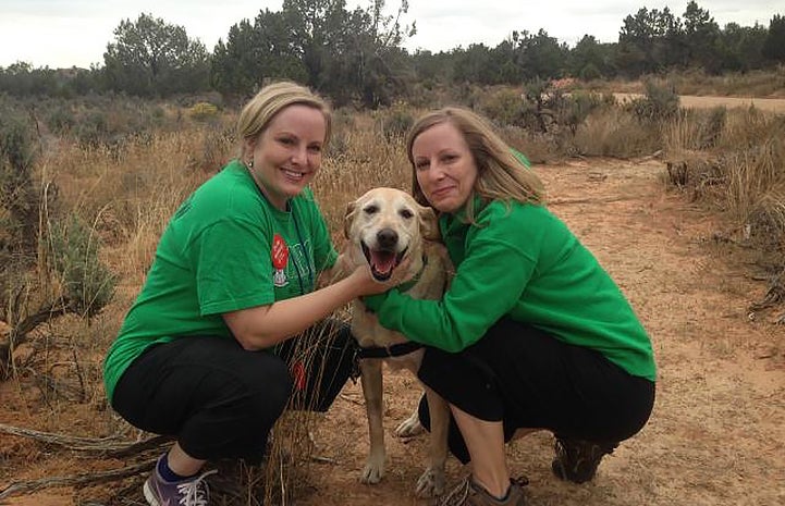 They love hiking on the trails with the dogs