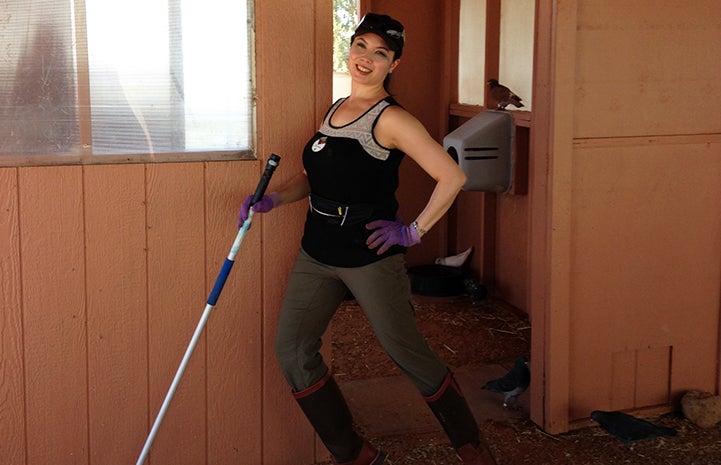 Volunteer Chelsea Eng scraping pigeon dropping at Wild Friends