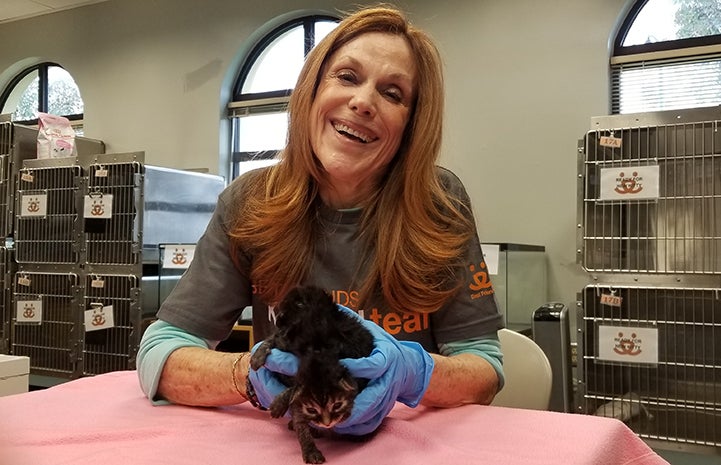 Volunteer Connie Murphy wearing blue rubber gloves and holding a pair of young kittens with rows of kennels behind her