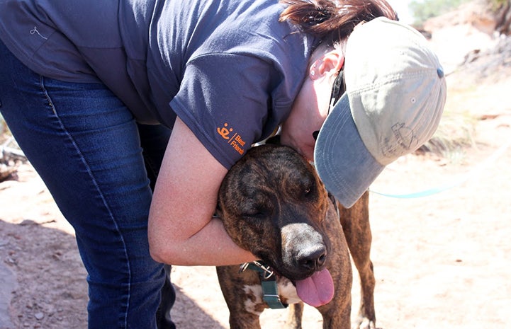 Denise Groll with Tiger the pit bull terrier mix