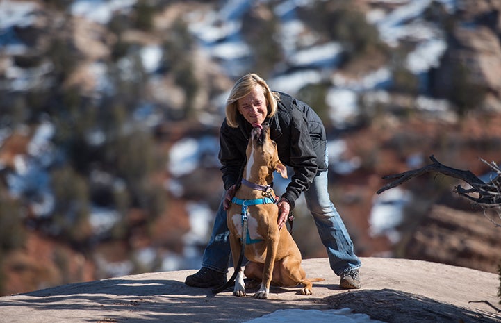 Harvey the dog sitting and licking the chin of Denny Erardi the volunteer, while out on a walk