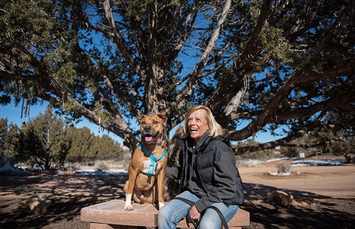 Volunteer Denny Erardi and Harvey the dog sitting on a bench under a tree