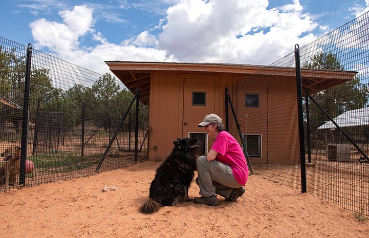 Volunteer Janice MacMillan crouching down to visit with Donner the dog in his kennel