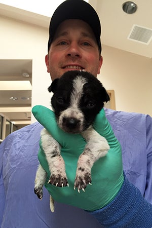 Jared volunteering at the Best Friends puppy admissions building