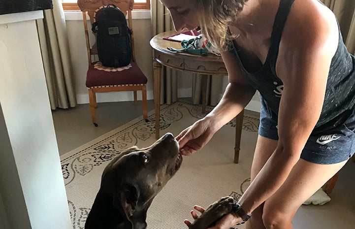 Volunteer Jennifer Wesely enjoying the sleepover experience with Jarvis the dog