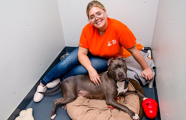 Achilles the dog with volunteer Kaelen Haworth