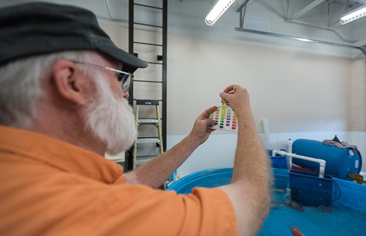 On some days, Doug, aka Captain Koi, looks like a scientist, performing chemical tests