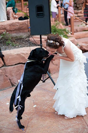 Volunteer Sarah Taylor with here Labrador Moose at her wedding