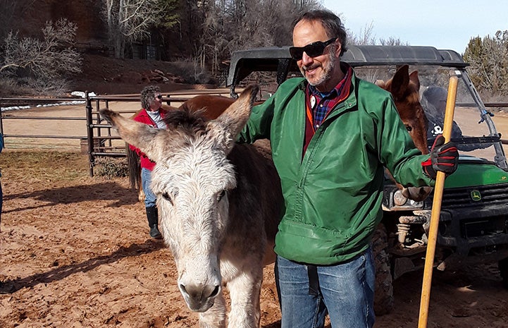 Steve giving Speedy the donkey a hug while volunteering