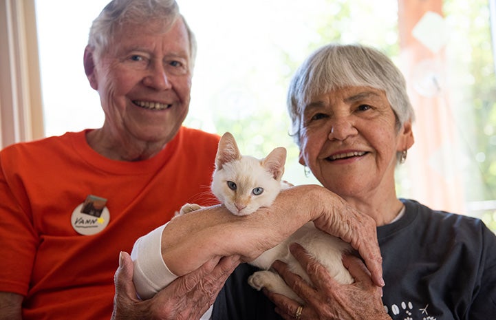 Mary Rose and Vann Hollie with Narnia the flamepoint Siamese kitten