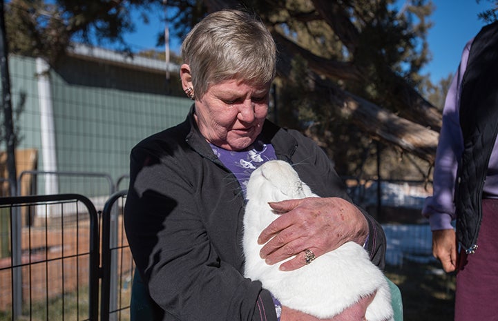 Woman volunteer holding a white rabbit