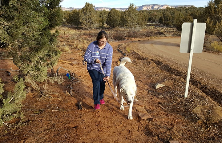 Volunteer Heather walking Azalea at Dogtown who was really a big marshmallow.