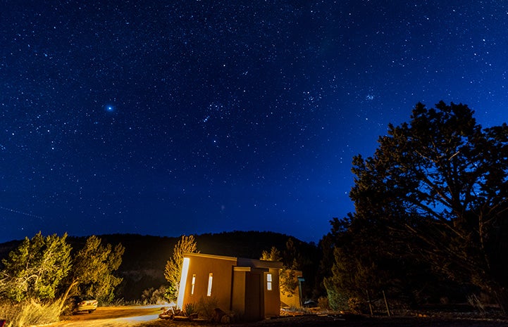 A lit up small building with stars in the night sky above it