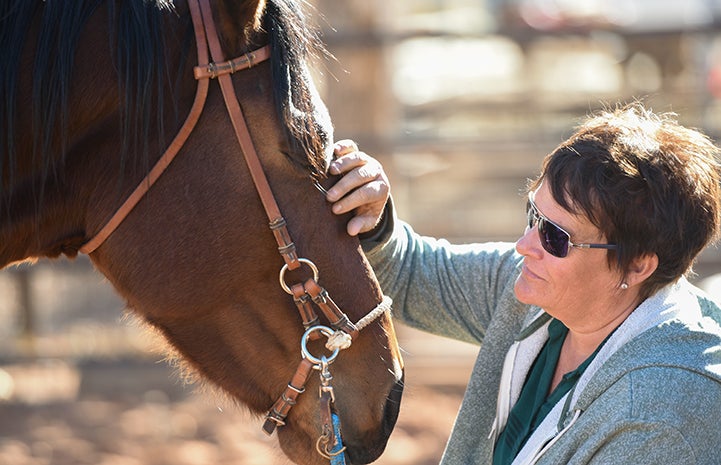 Wire the horse is changing slowly with each training session