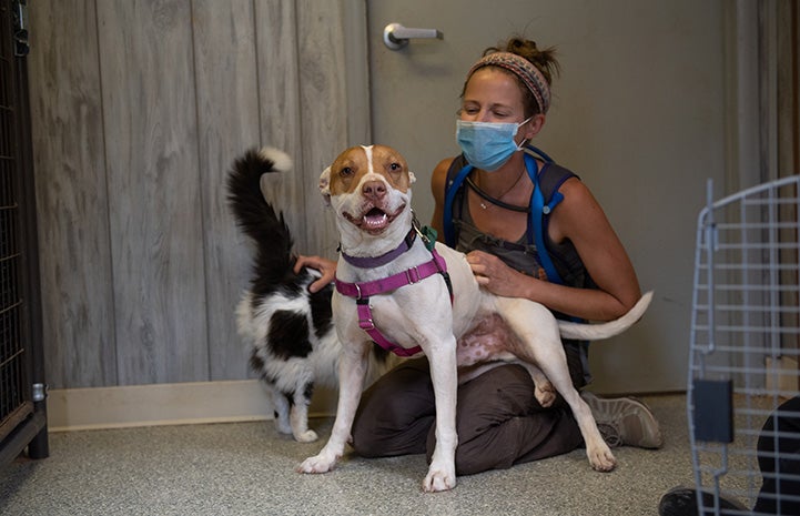 Taquito the dog smiling with masked woman and Rango the cat behind him