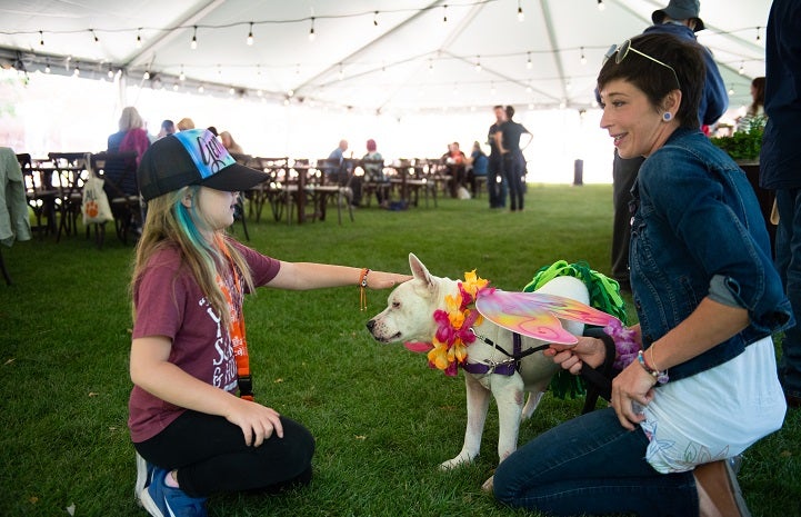 Dog at Best Friends Animal Sanctuary socializes with guests at event