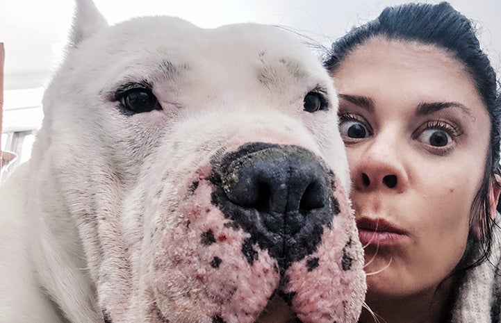 Selfie of Melissa and Walter the white mastiff