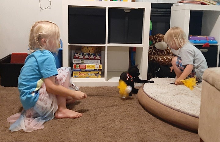 Two children playing with a wand toy with a kitten