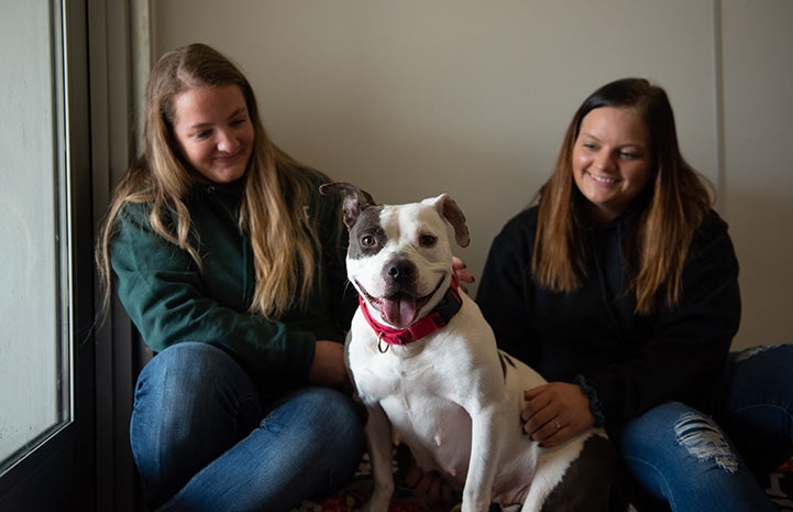 Two people sitting with Bella the dog between them