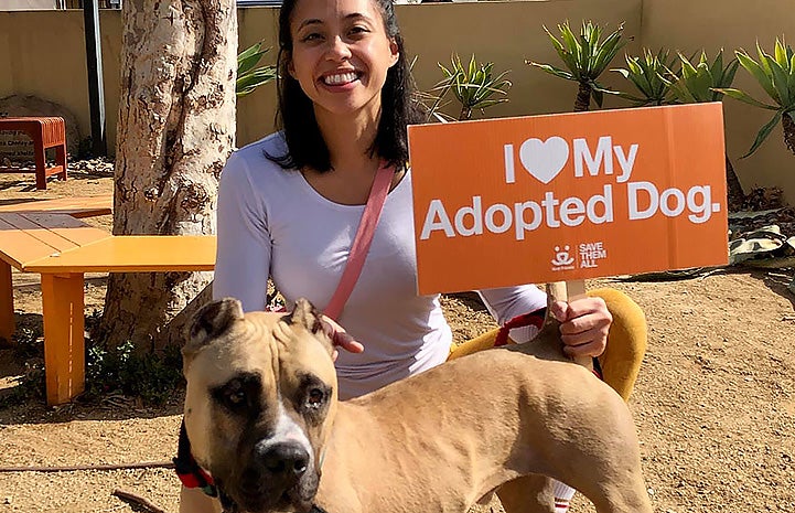 Beefy the dog with Khrisna holding a I heart my adopted dog sign