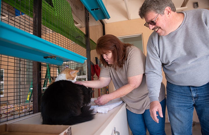 Vicki and Paul petting Ken and Java the cats at Best Friends