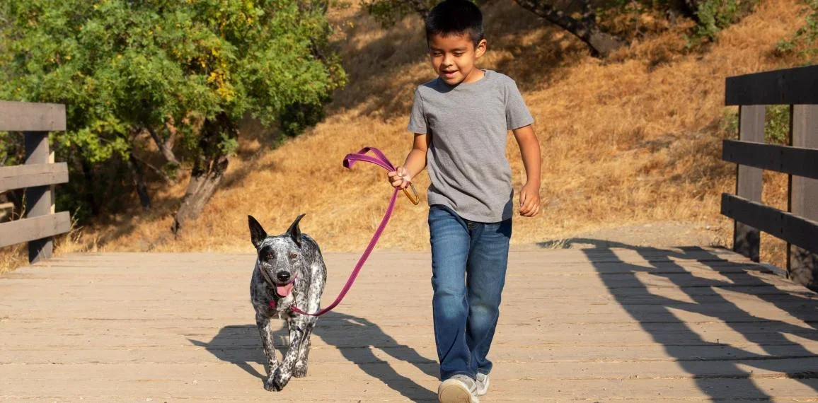 Person walking a dog on a hiking trail