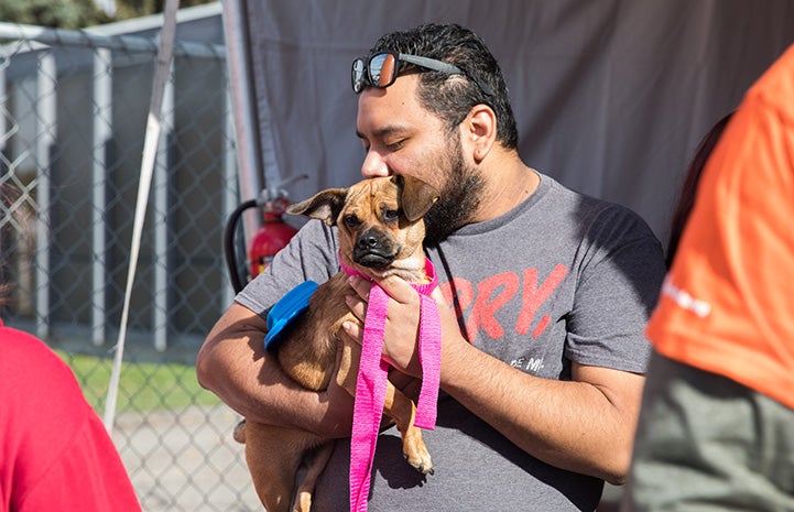 Man holding and kissing the back of the head of a brown puppy