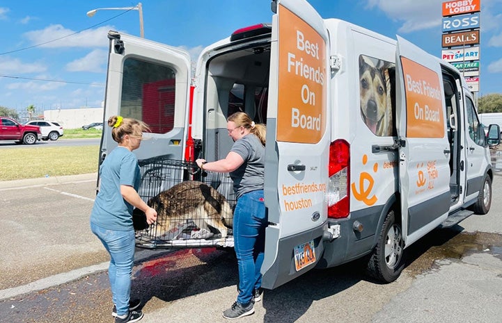 Unloading crates containing animals from a Best Friends branded van