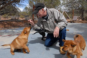  Don Bain socializing puppies 