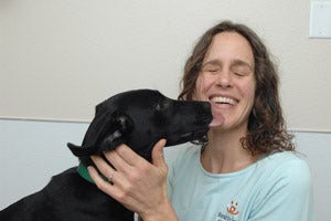 Black Lab, a parvo survivor, giving woman a kiss